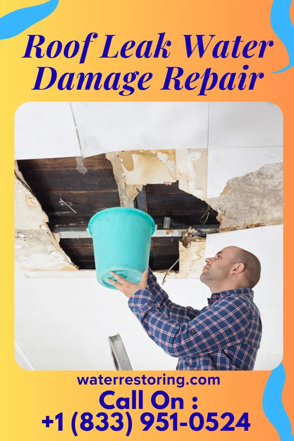 Roof Leak Water Damage Repair in Wellington, UT